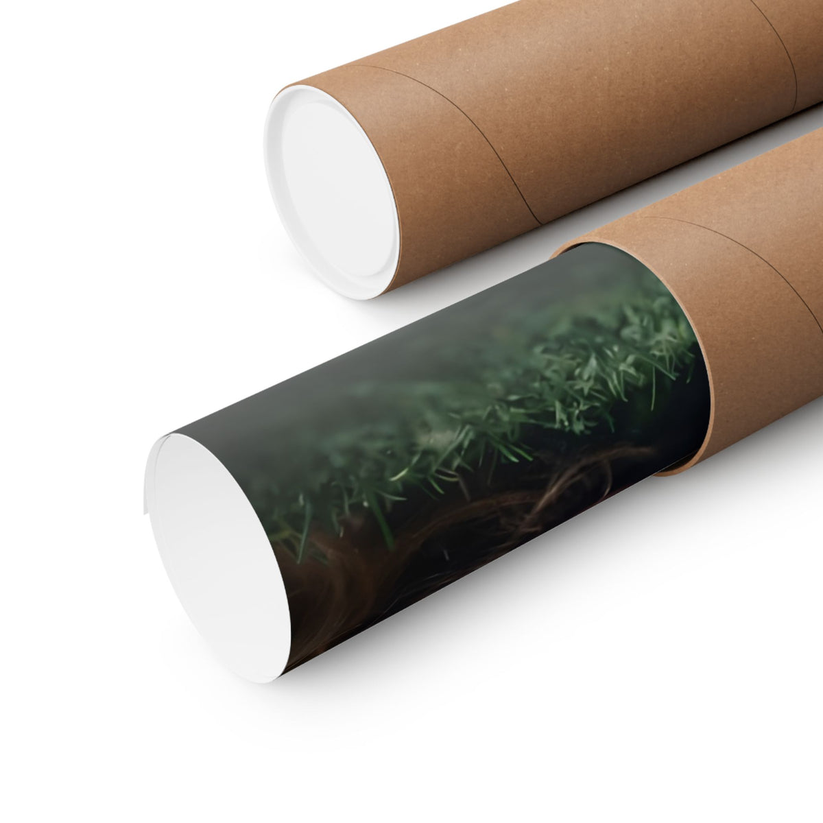 Dementia 13 Poster Print