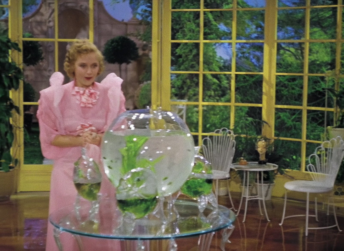 Merrily We Live, still from the Color Edition