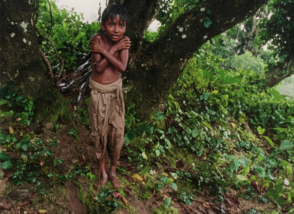 Pather Panchali, still from the Color Edition