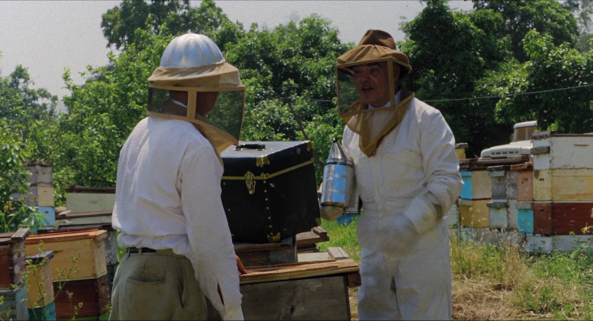 The Wasp Woman, still from the Color Edition